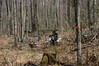 madwrench > 2007 "Little Ruff" Family Enduro photo
