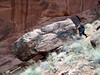 madwrench > Moab, Utah 2008 photo