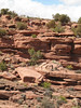madwrench > Moab, Utah 2008 photo