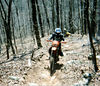 madwrench > ARKANSAS 2002. BRIAN M. AND DAN MANCL.