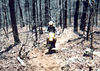 madwrench > Trail Rides photo